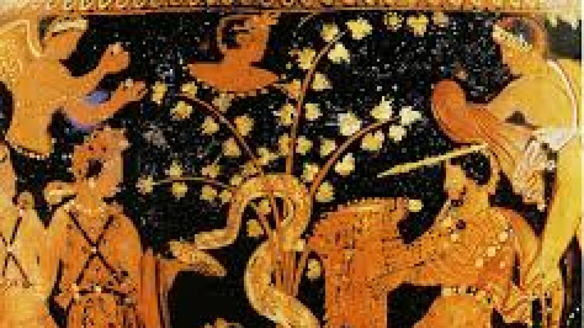 Ερευνα: Ο μύθος του Χρυσόμαλλου Δέρατος είχε... «χρυσό» ιστορικό υπόβαθρο